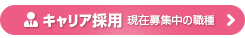 CAEエンジニアの募集要項・エントリー